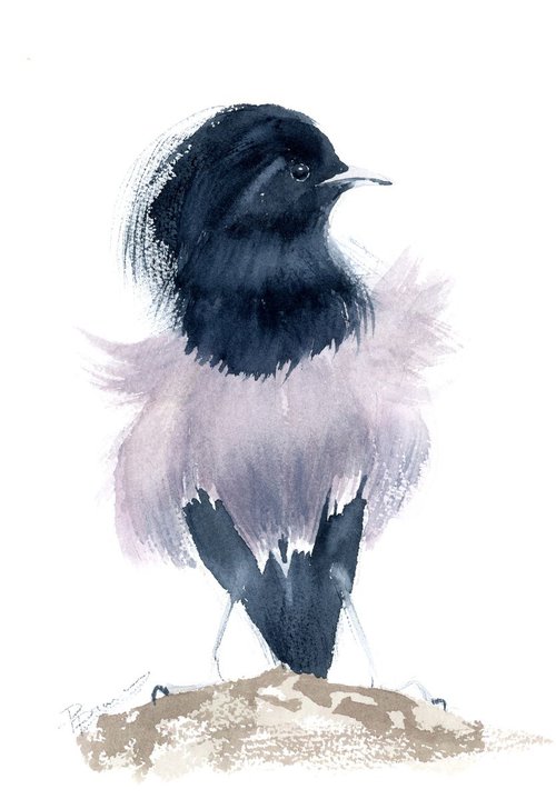 Rosy starling by Olga Shefranov (Tchefranov)