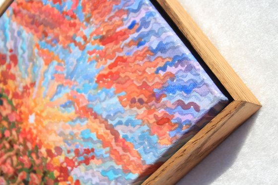 Sunset in the Buckwheat field