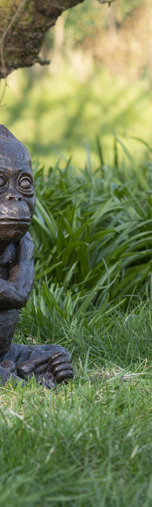 Baby Orangutan Bronze Resin by Tanya Russell