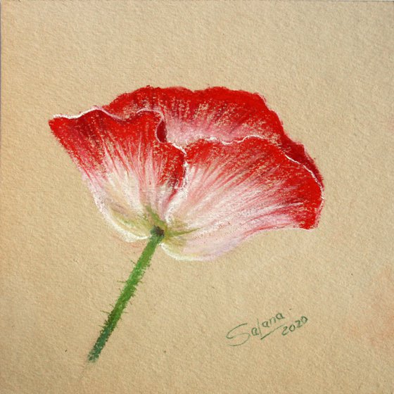 Poppy I /  ORIGINAL PAINTING