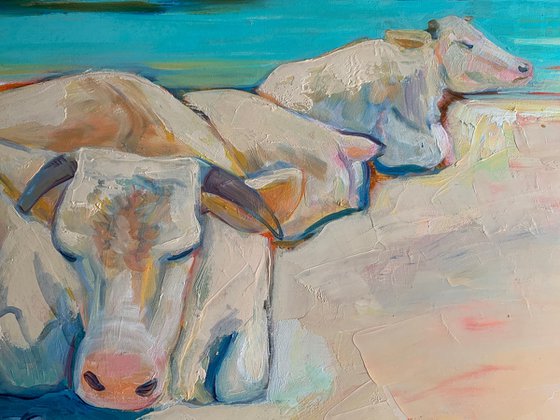 Cows on the beach