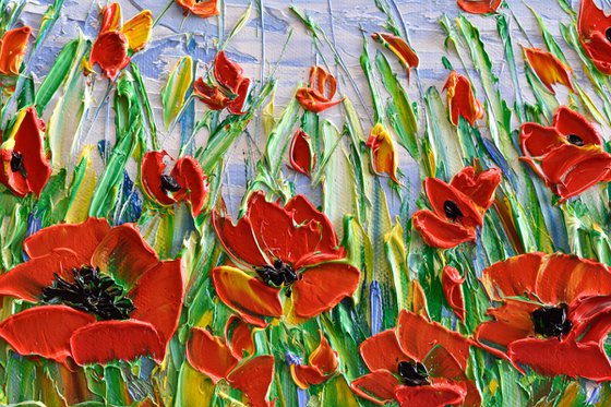 Red Poppies