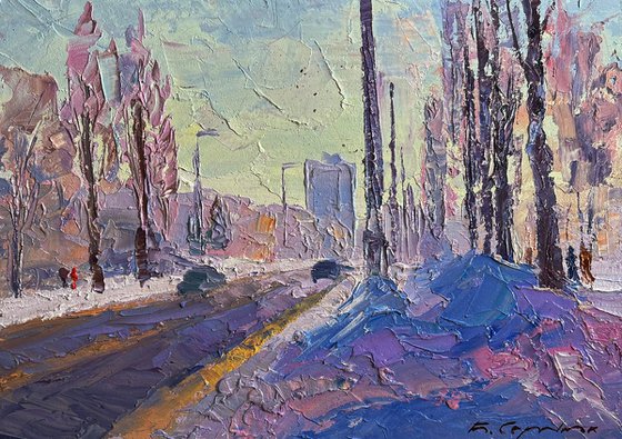 After the Night Snowstorm