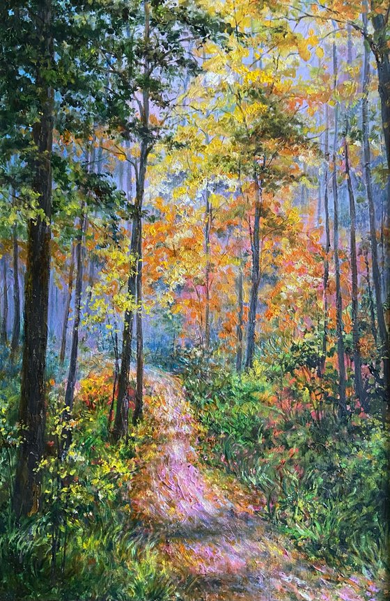 Forest trail