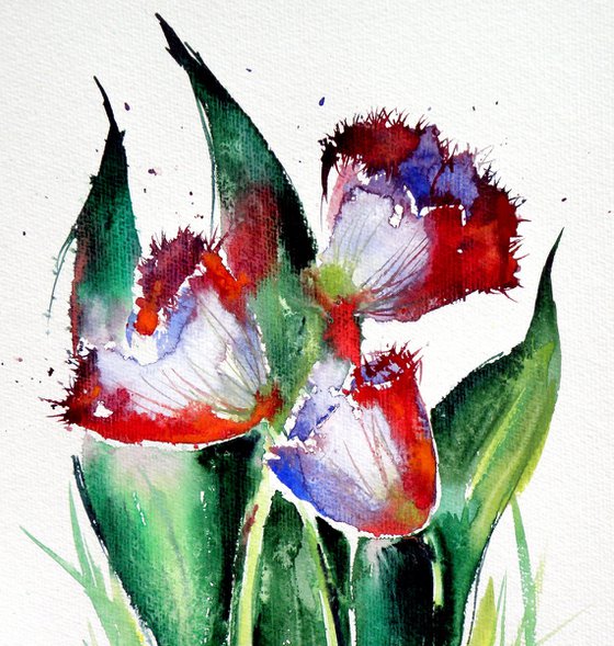 Three tulips