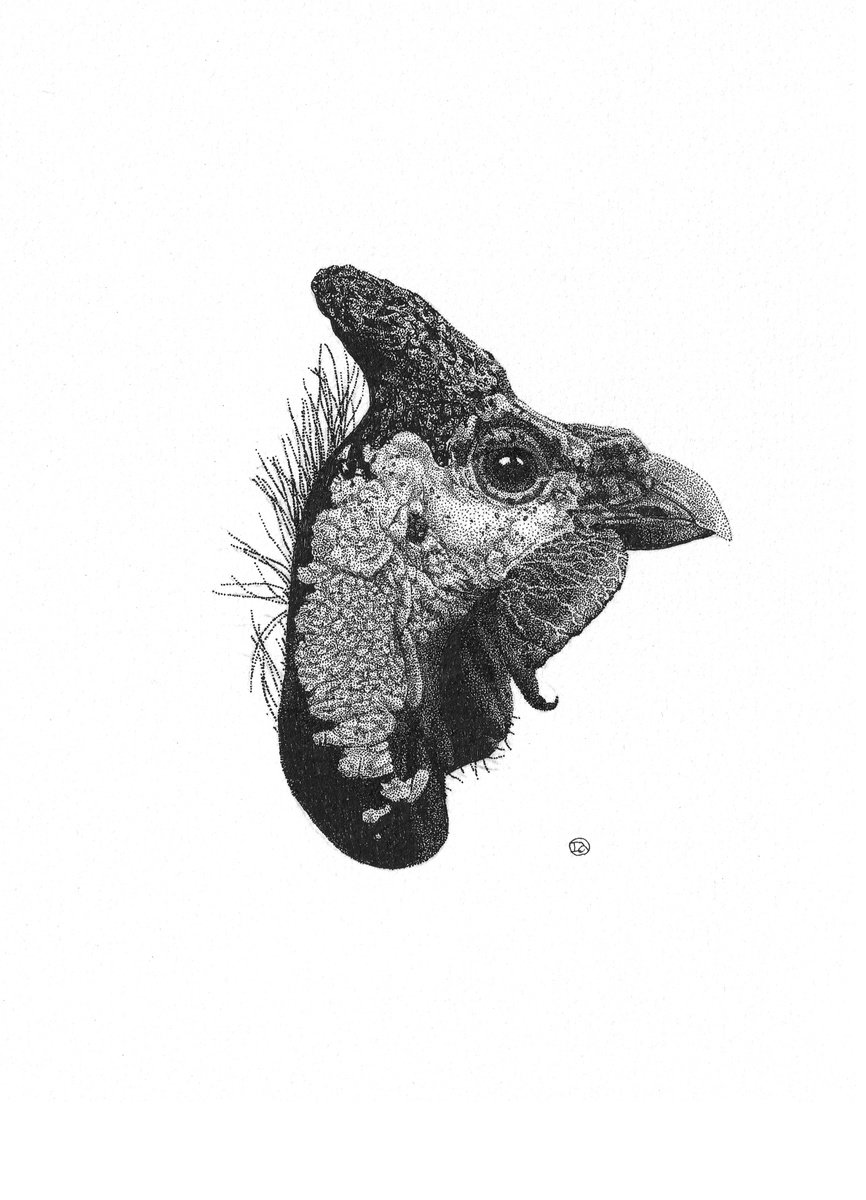 Fowl by Iana Cherepanska
