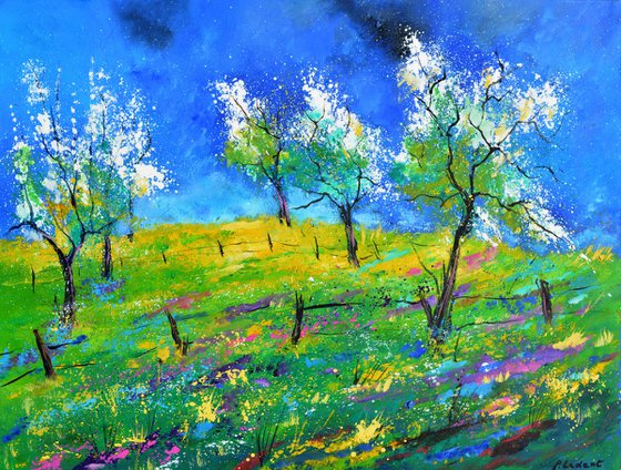 Blooming orchard