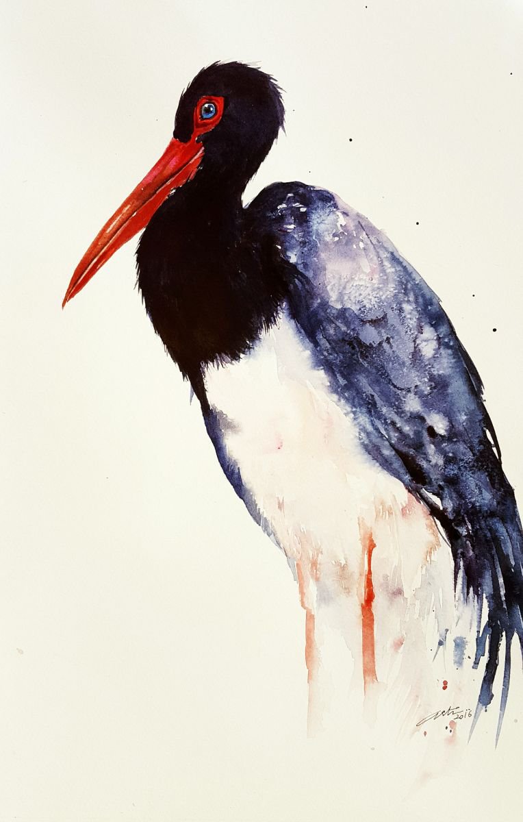 Black Top Stork by Arti Chauhan