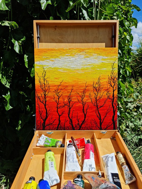 Sunny trees