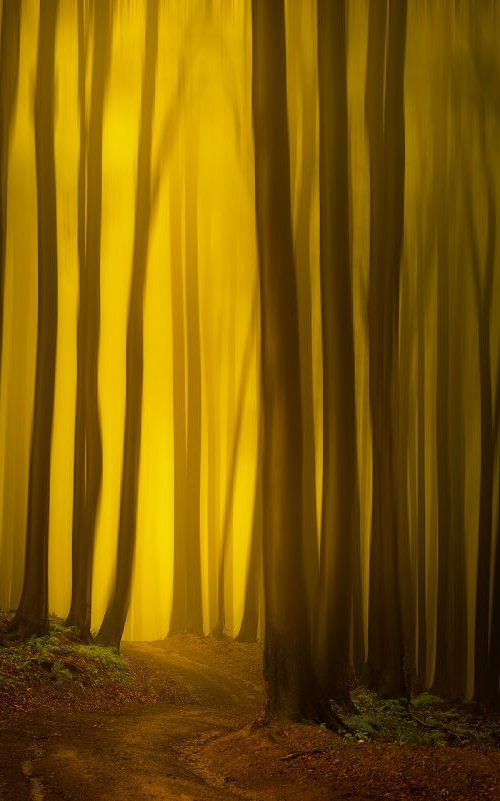 Portal into the kingdom of silence by Janek Sedlar