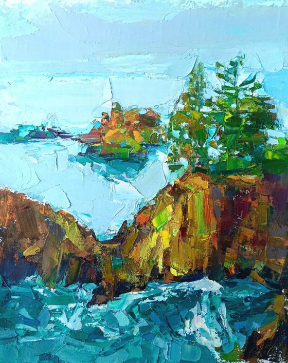 ROCKY SHORE.  SNOW IS IN THE AIR