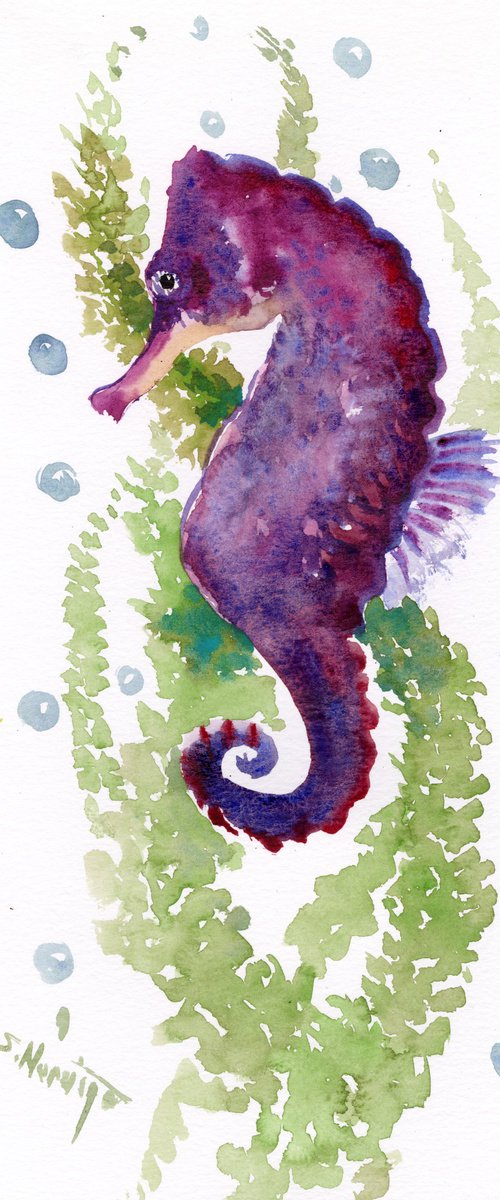 Seahorse by Suren Nersisyan