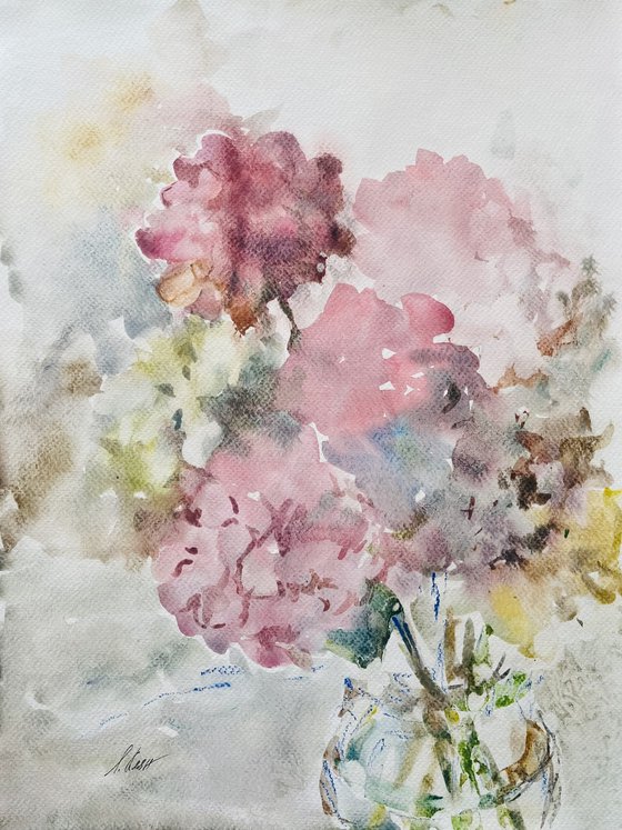 Hydrangea 1