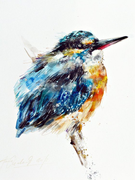 kingfisher III