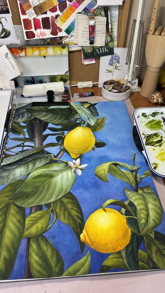 Sunny Lemons