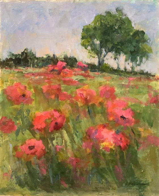 Poppies