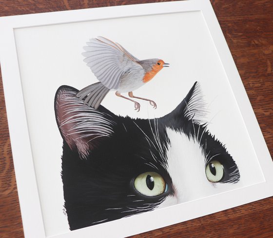 BIRD AND CAT 12