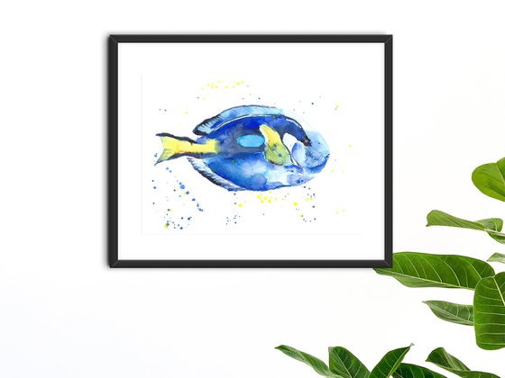 Set of 2 Hippo Pacific Blue tang fish, Angelfish Surgeonfish watercolor Tropical