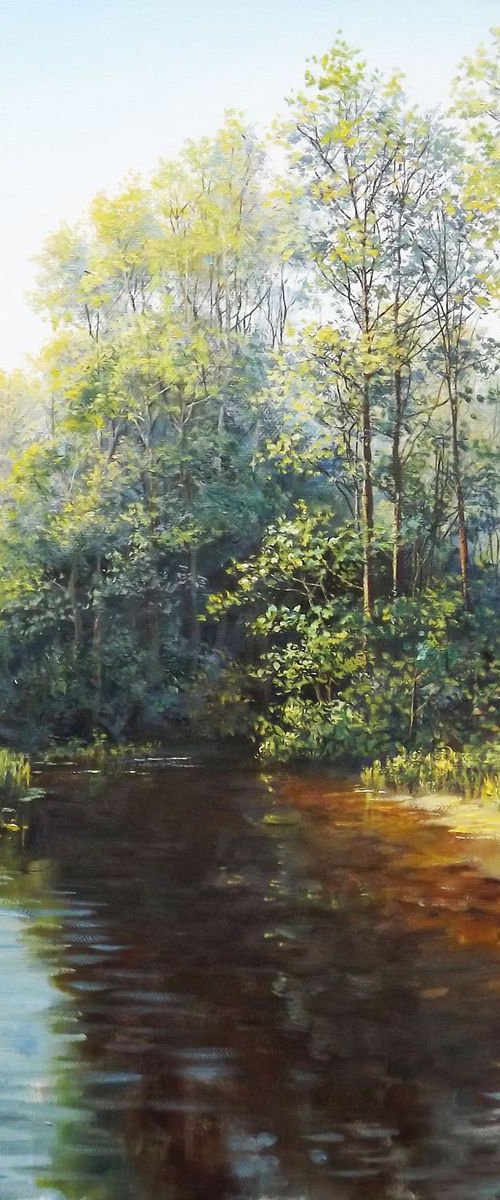 Forest Brook by Oleg Riabchuk