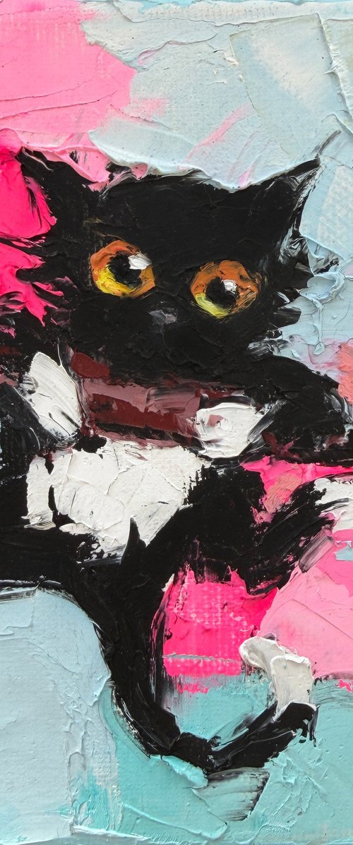 A cat beyond the rules by Lana Frey