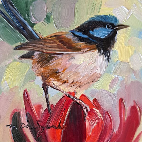 Fairywren bird painting