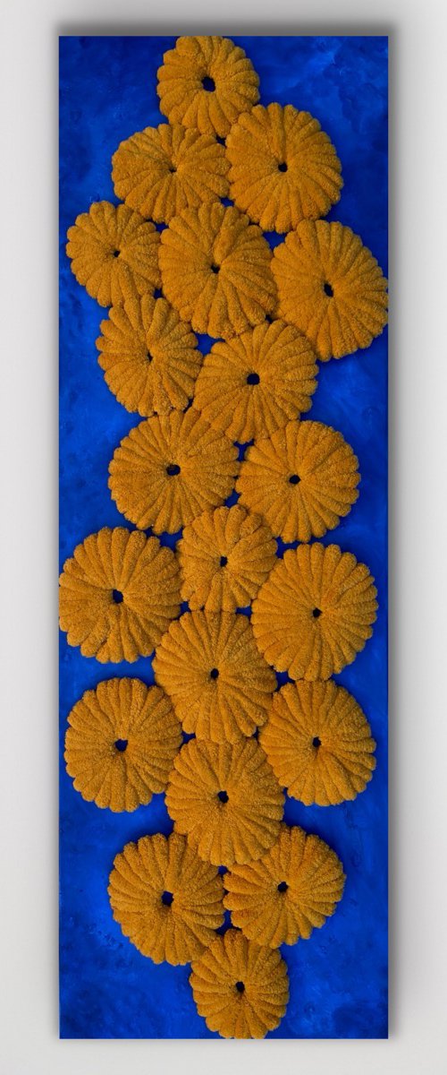 Bloom Riot by Swapna Namboodiri