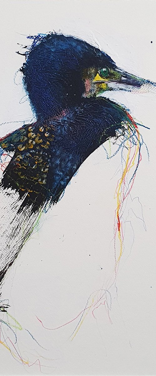 Cormoran by Laurent Bergues