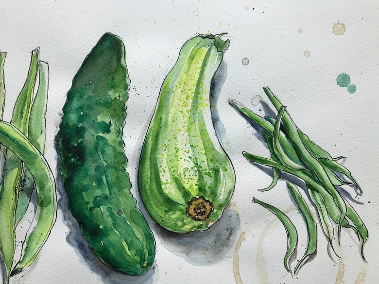 ‘Today’s crop’ - vegetables ink drawing with wash Ink drawing by Luci ...