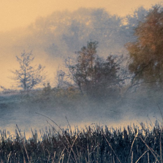 Panorama of autumn sunrise.