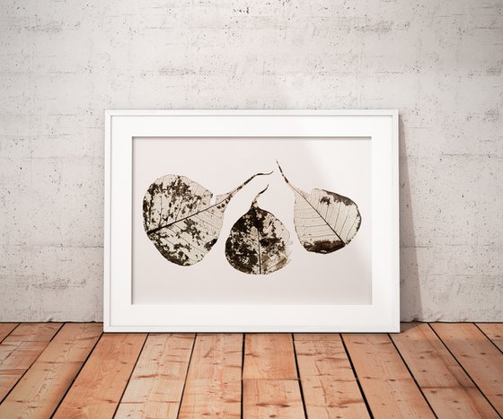 Fallen Leaves #1