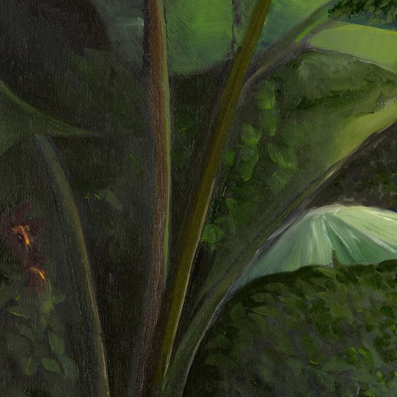 Walk into the Rainforest