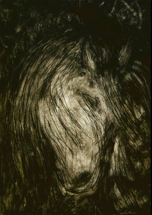 Head of a Horse by Lolana