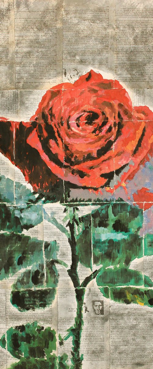 Red rose. by Marat Cherny