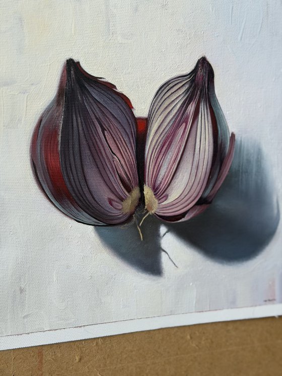 Onion. Still life