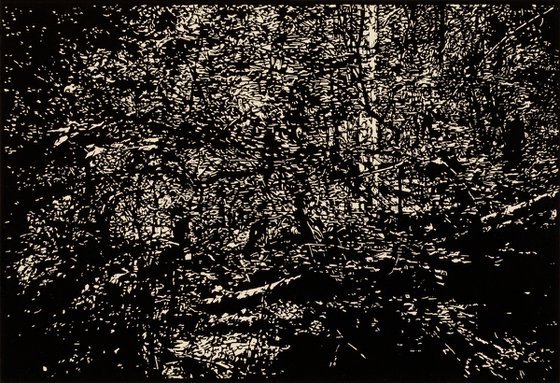 FIRST MEADOW