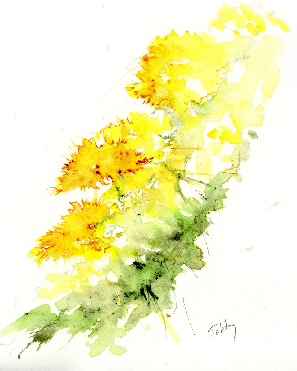 Impressionistic Botanical Watercolour By Alex Tolstoy, 10 X 12, Dandelions, Original Artwork