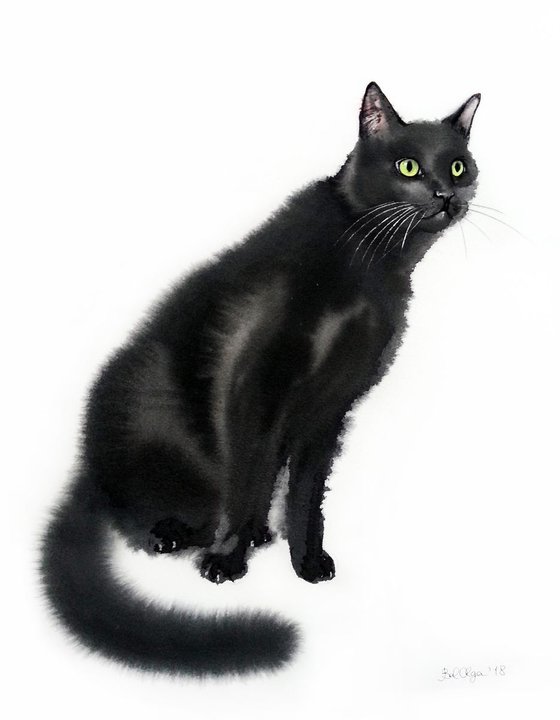 Black Cat In-waiting