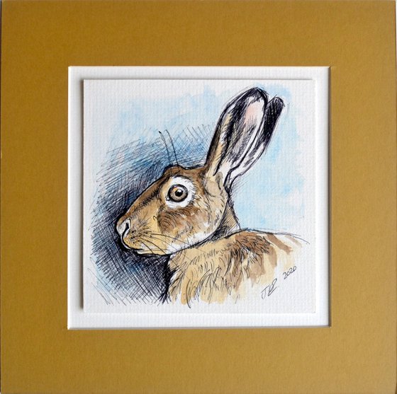 Hare Study