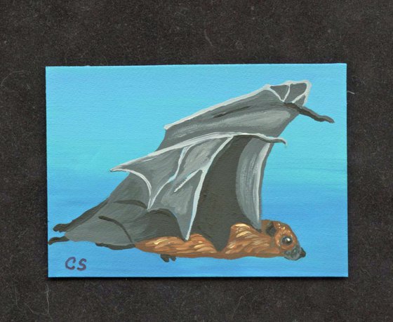 ACEO ATC Original Miniature Painting Flying Fox Bat Wildlife Art-Carla Smale