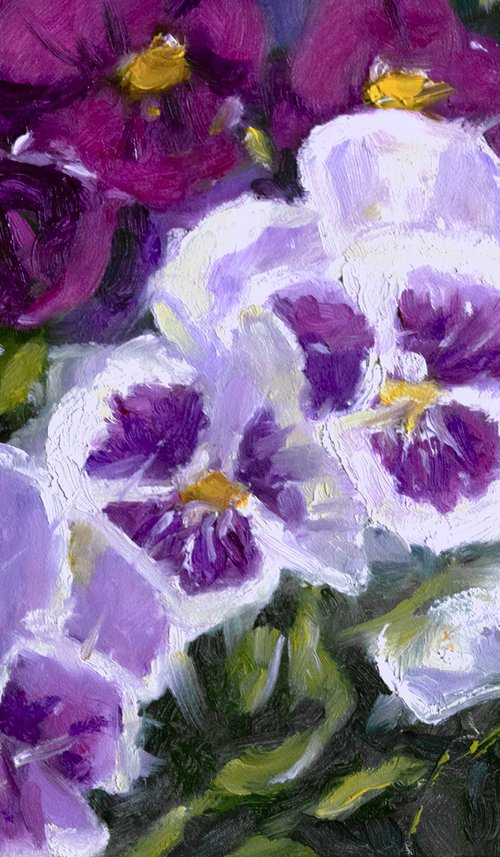 Pansies in the Garden by Daniel Brian Fishback