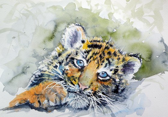 Cute tiger cub