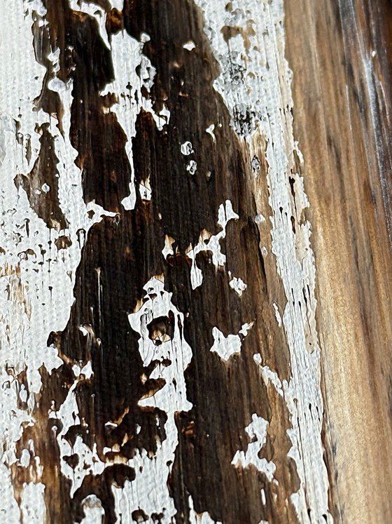 Stillness through earthy tones