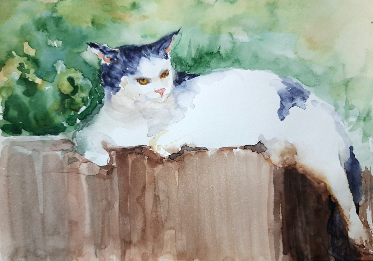 Cat on the wall watercolors on paper 5.8x 8.25 by Asha Shenoy