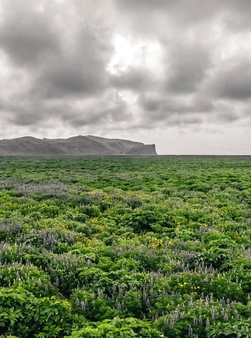 ICELANDIC EXPANSE by Fabio Accorrà