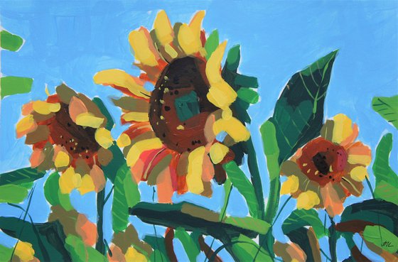 Sunflowers