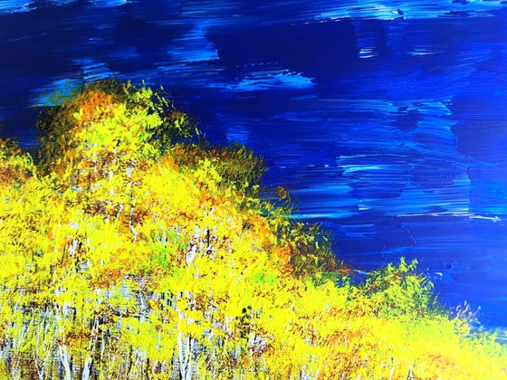 Autumn birch forest