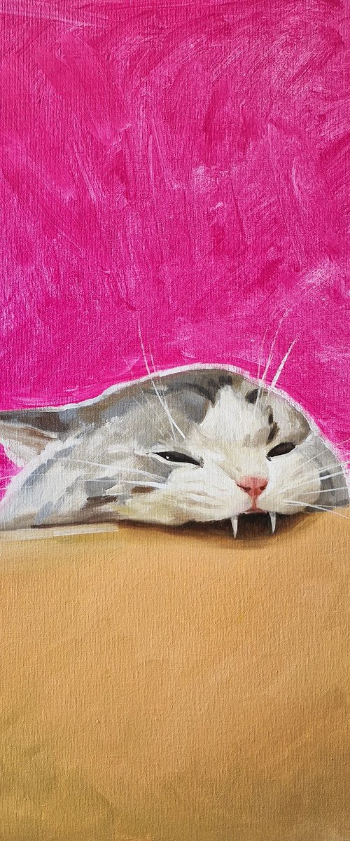 Pink cat nibble by Dita Galas