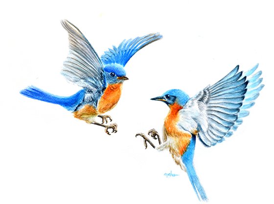 Flying Blue Birds