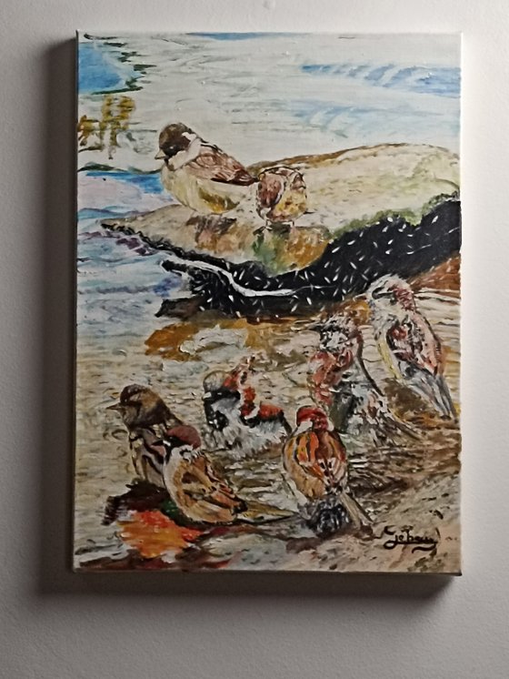 Birds bath