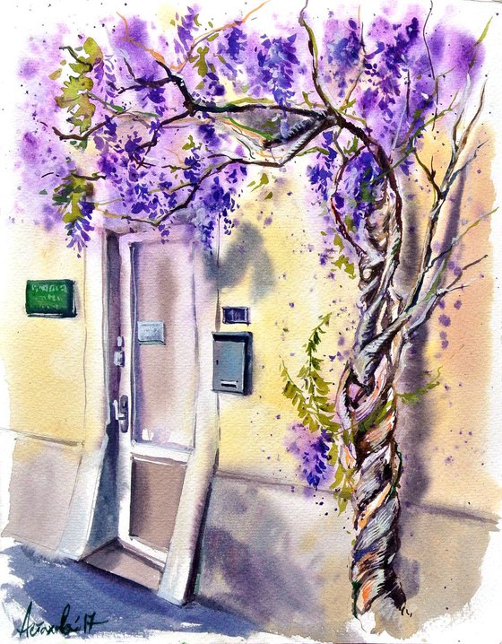 Wisteria from Cully I